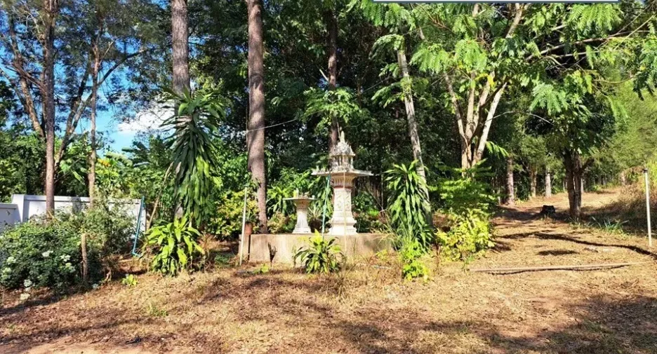 For sale land in Fang, Chiang Mai