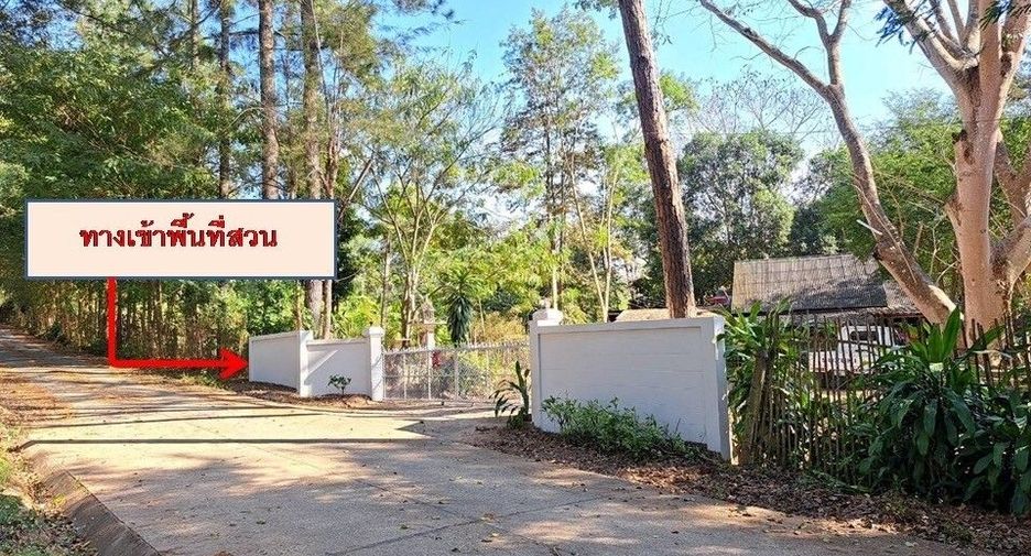 For sale land in Fang, Chiang Mai