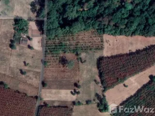 出售 土地 在 Pa Tio, Yasothon