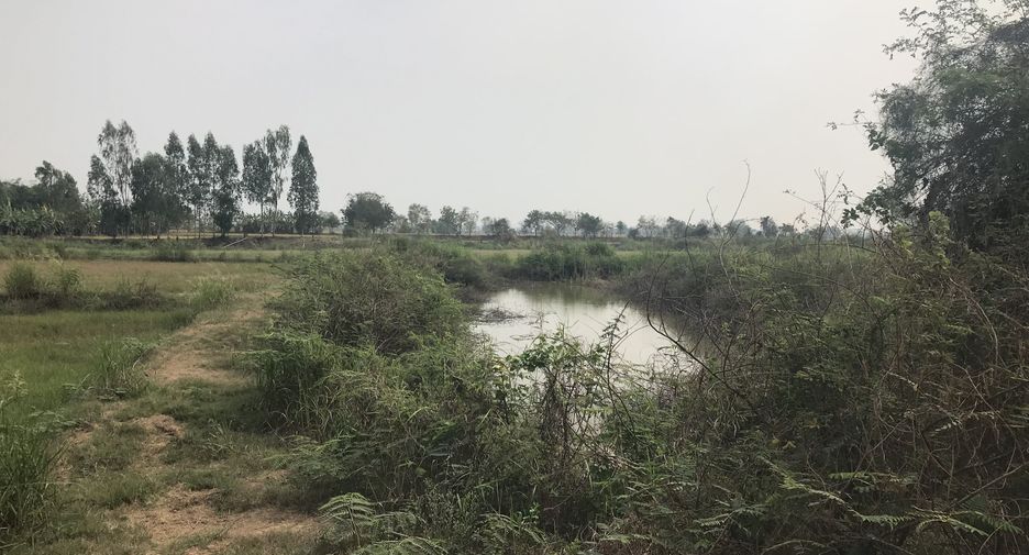 For sale land in Bang Rakam, Phitsanulok