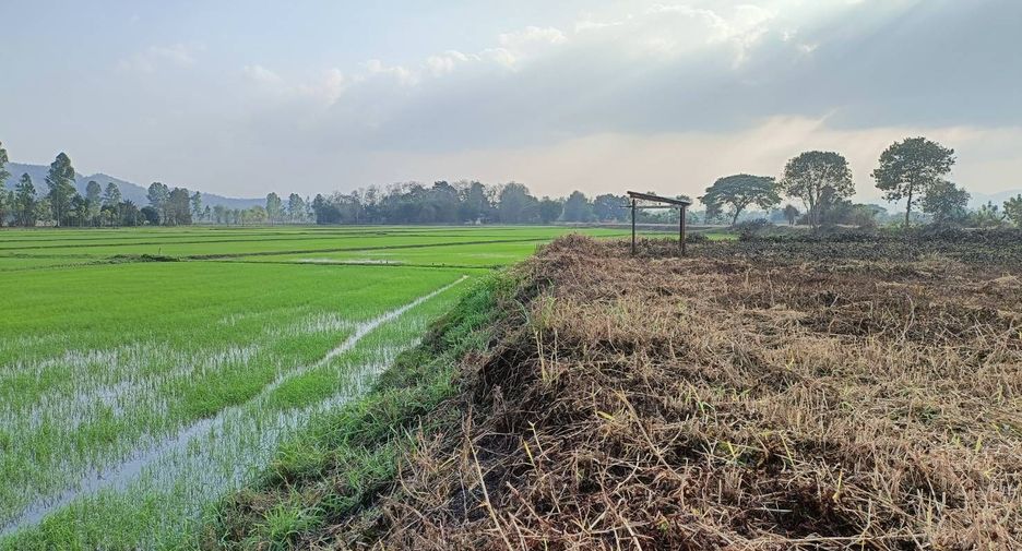 Terreno en venta en Wiang Chai, Chiang Rai