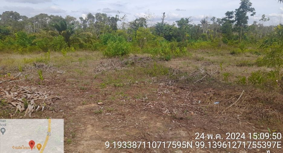 For sale land in Tha Chang, Surat Thani