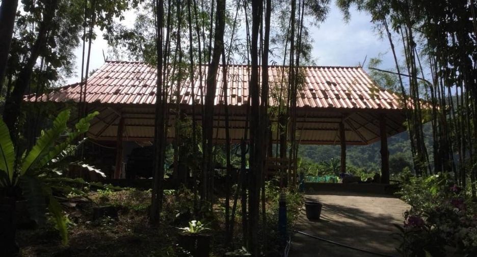 For sale hotel in Thung Chang, Nan