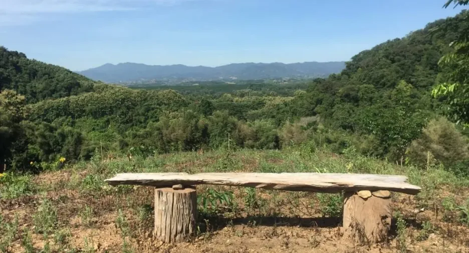 For sale hotel in Thung Chang, Nan