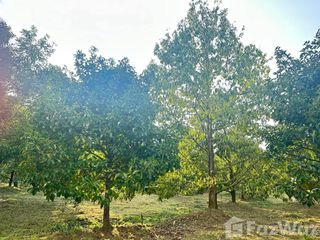 For sale land in Makham, Chanthaburi