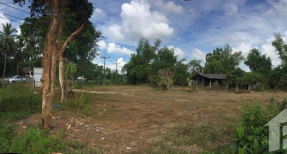 For sale land in Chaiya, Surat Thani