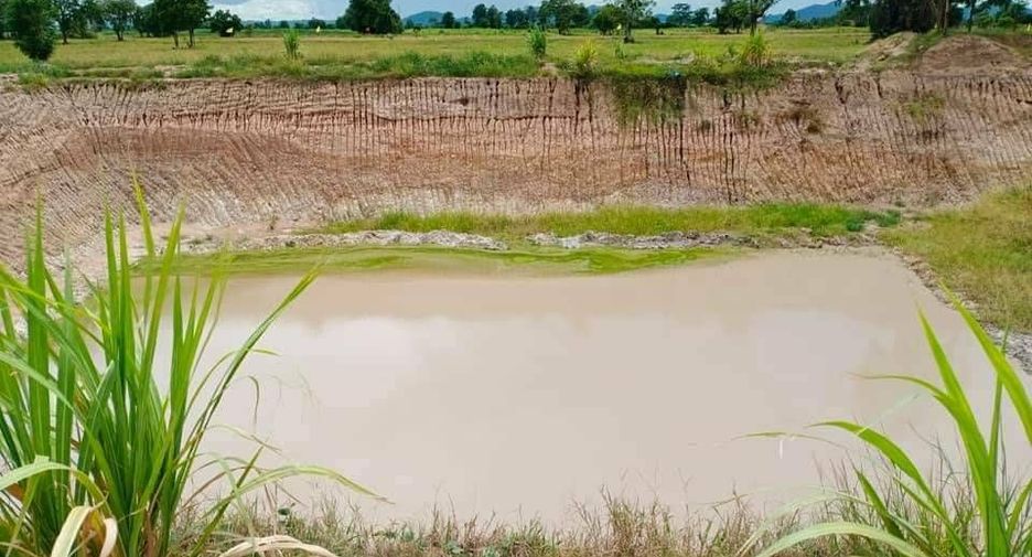 For sale land in Doem Bang Nang Buat, Suphan Buri