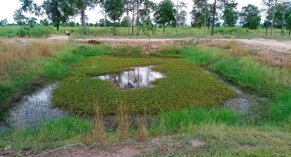 For sale land in Doem Bang Nang Buat, Suphan Buri