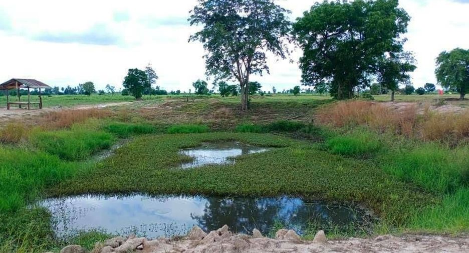 For sale land in Doem Bang Nang Buat, Suphan Buri