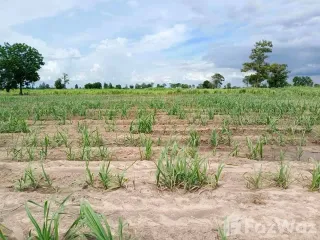 For sale land in Doem Bang Nang Buat, Suphan Buri