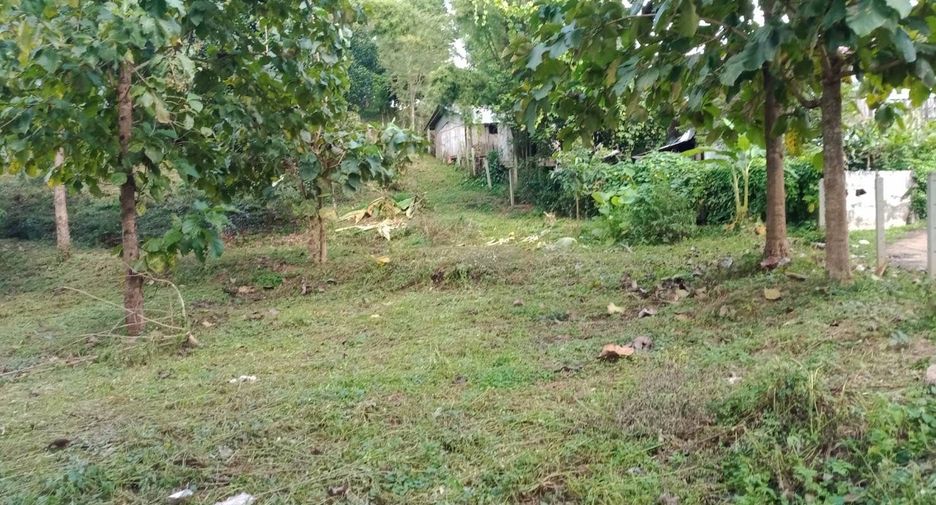 For sale land in Den Chai, Phrae