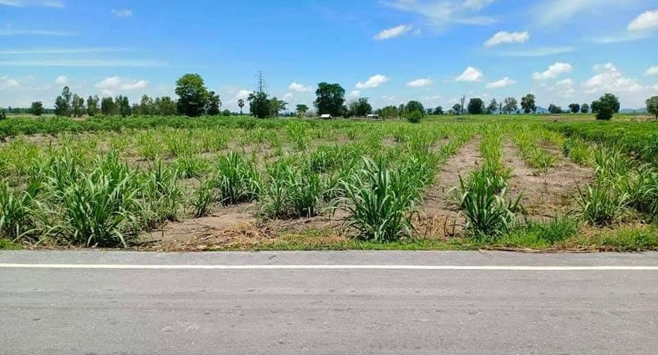For sale land in Noen Kham, Chainat