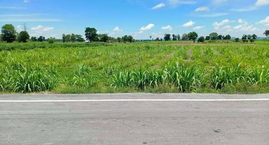 For sale land in Noen Kham, Chainat