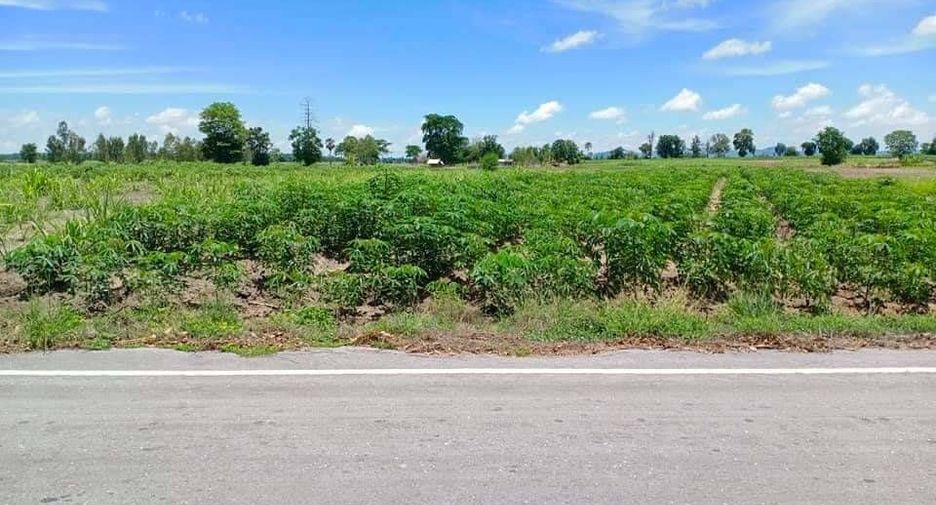 For sale land in Noen Kham, Chainat