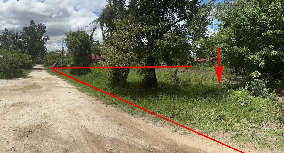 For sale land in Phran Kratai, Kamphaeng Phet