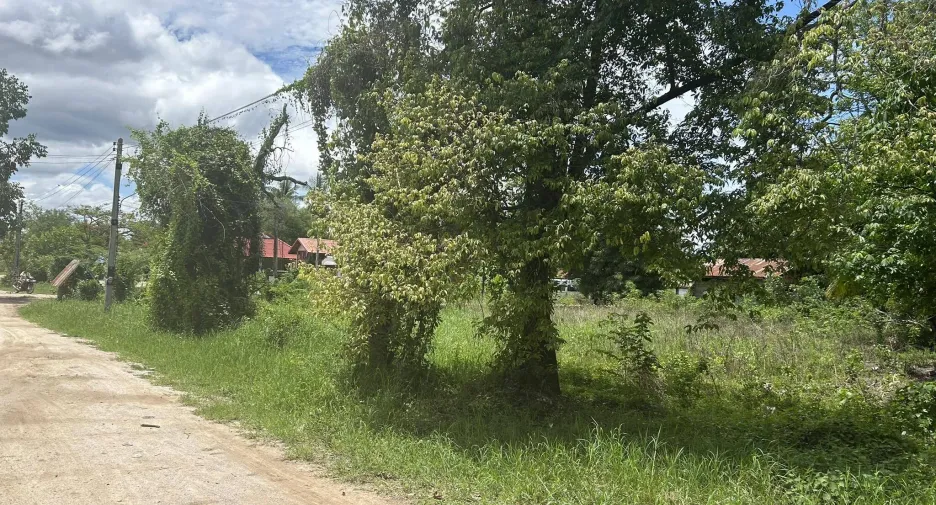 For sale land in Phran Kratai, Kamphaeng Phet