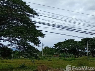 出售 土地 在 Phu Kradueng, Loei