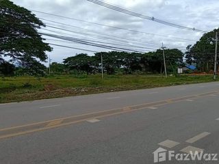 出售 土地 在 Phu Kradueng, Loei