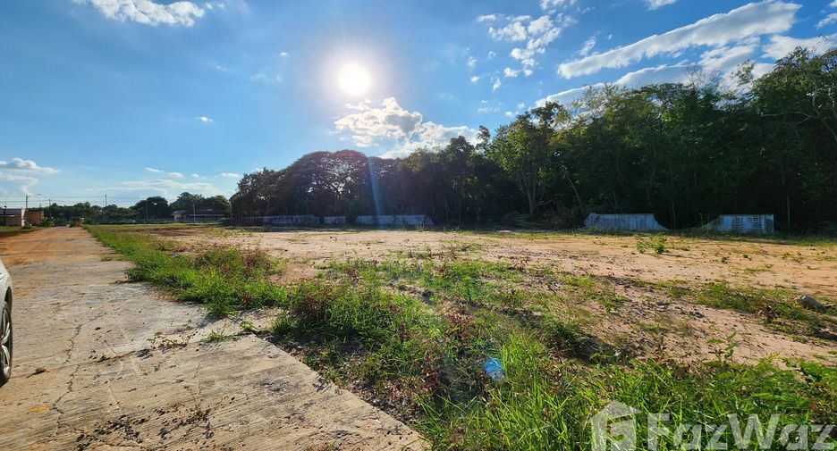 For sale land in Chonnabot, Khon Kaen