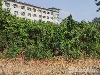 For sale land in Bang Pakong, Chachoengsao