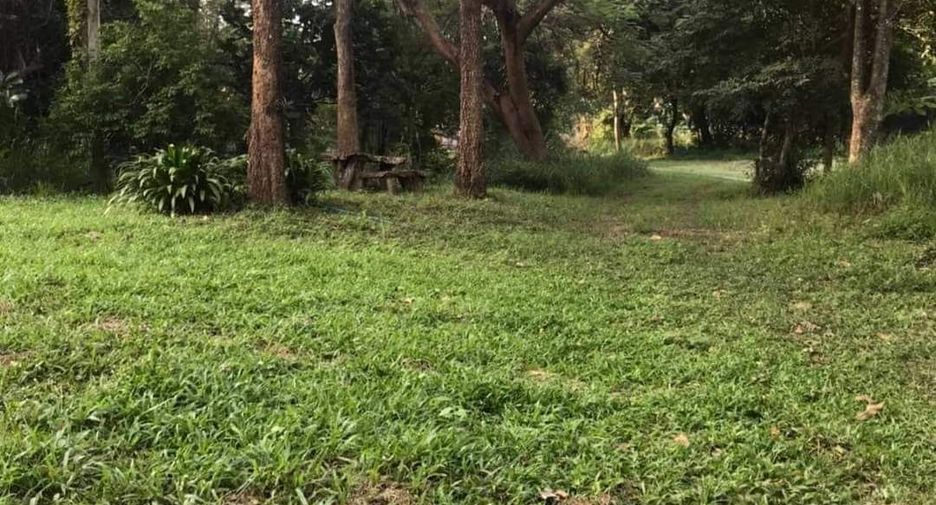 For sale land in Muak Lek, Saraburi