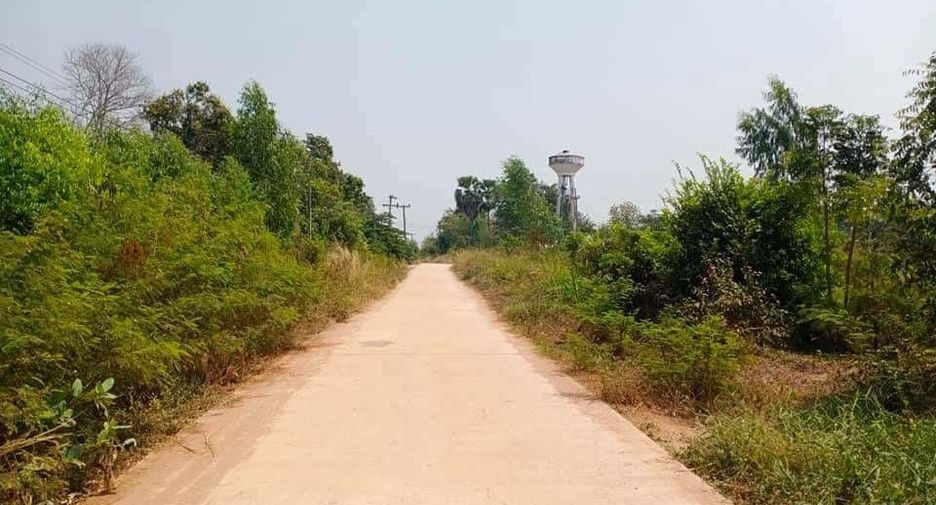 For sale land in Hankha, Chainat
