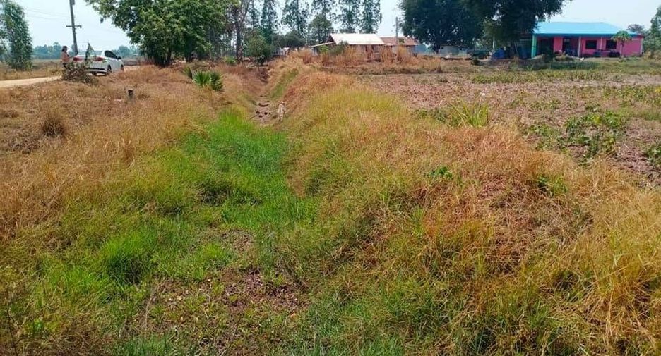 For sale land in Hankha, Chainat