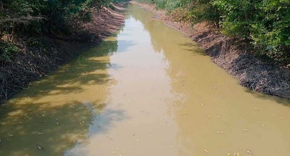 For sale land in Hankha, Chainat