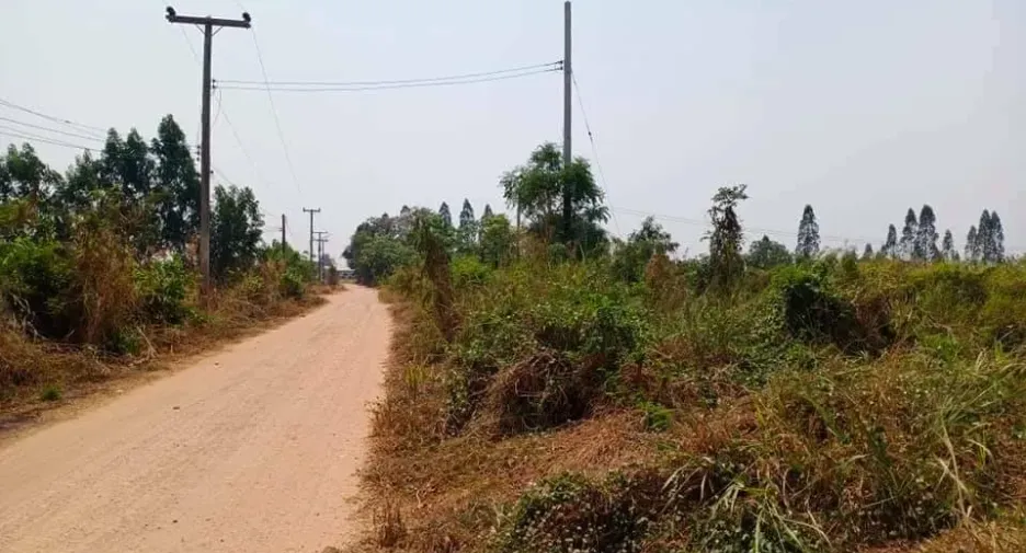 For sale land in Hankha, Chainat