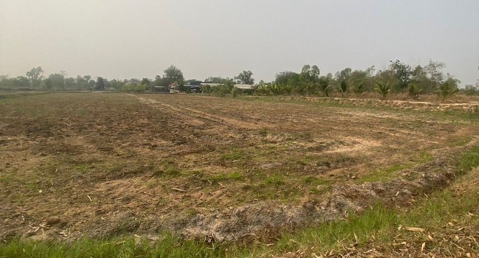 For sale land in Mueang Khon Kaen, Khon Kaen