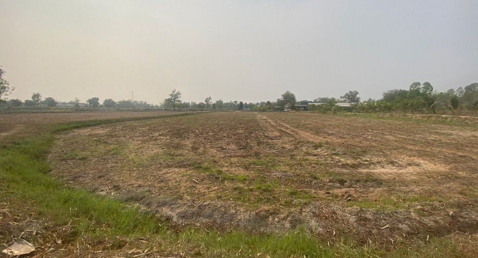 For sale land in Mueang Khon Kaen, Khon Kaen