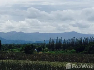 出售 土地 在 Suan Phueng, Ratchaburi