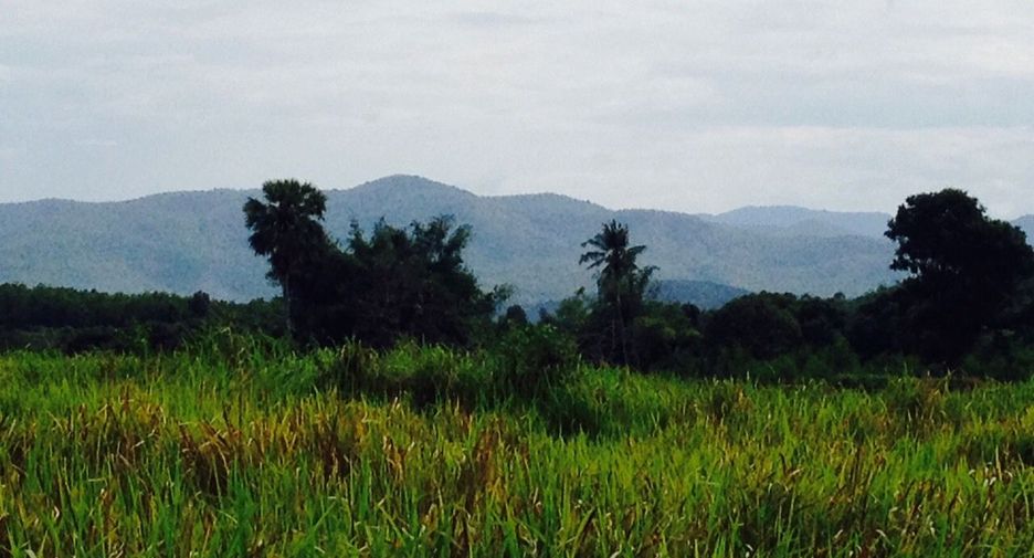 For sale land in Suan Phueng, Ratchaburi