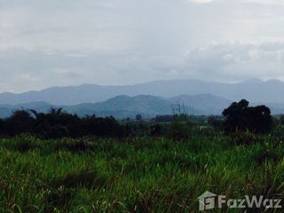 出售 土地 在 Suan Phueng, Ratchaburi