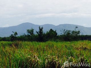 出售 土地 在 Suan Phueng, Ratchaburi