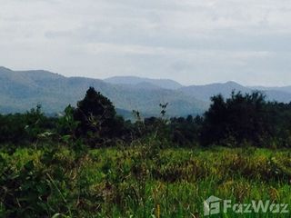出售 土地 在 Suan Phueng, Ratchaburi