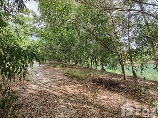 出售 土地 在 Klaeng, Rayong
