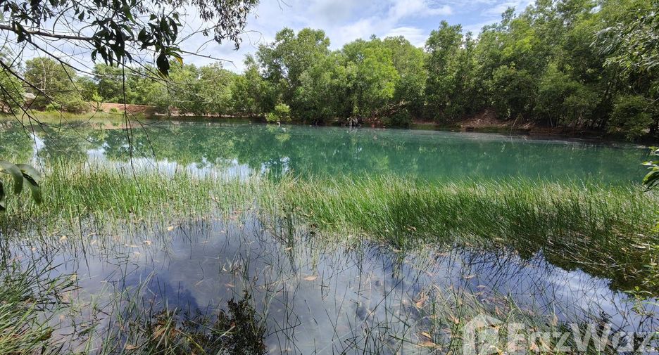 For sale land in Klaeng, Rayong
