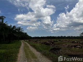 Продажа Участок в Chaloem Phra Kiat, Nakhon Si Thammarat