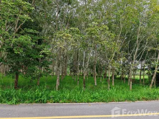 À vendre terrain à Mueang Nakhon Si Thammarat, Nakhon Si Thammarat