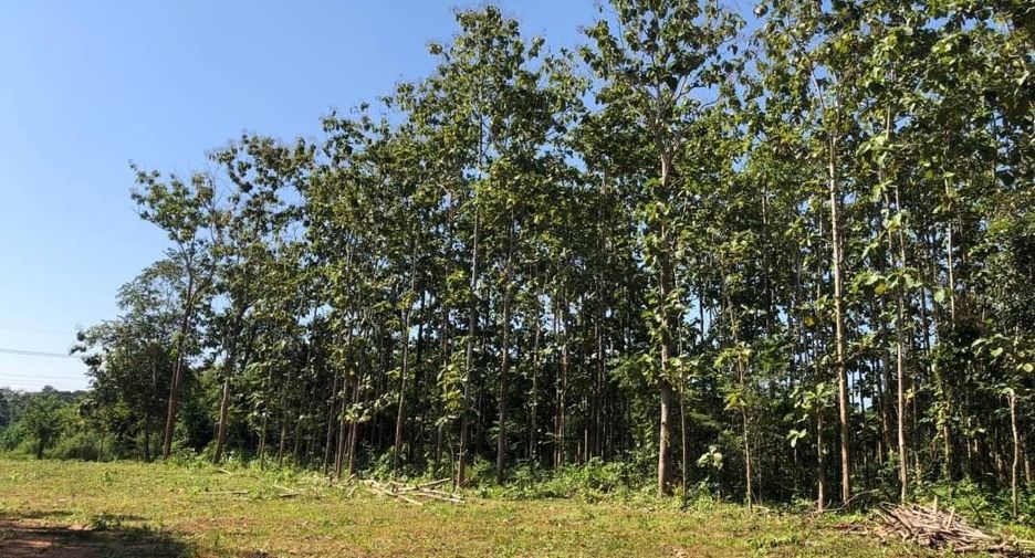 For sale land in Muang Nan, Nan