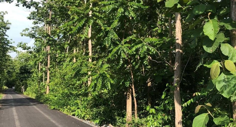 For sale land in Muang Nan, Nan