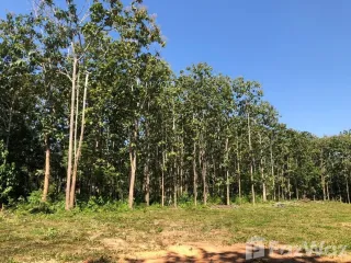 Terreno en venta en Muang Nan, Nan
