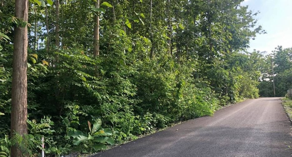 For sale land in Muang Nan, Nan