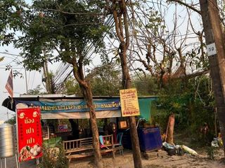 À vendre terrain à Phibun Mangsahan, Ubon Ratchathani