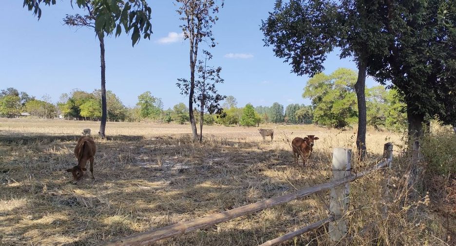 For sale land in Mueang Sakon Nakhon, Sakon Nakhon