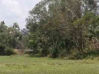 ขาย ที่ดิน ใน ปากพลี, นครนายก