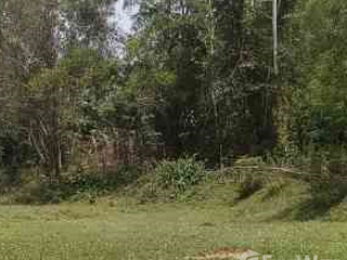ขาย ที่ดิน ใน ปากพลี, นครนายก