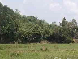 ขาย ที่ดิน ใน ปากพลี, นครนายก
