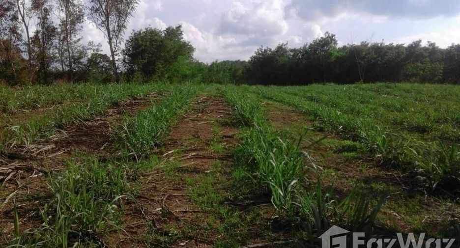 For sale land in Wang Saphung, Loei